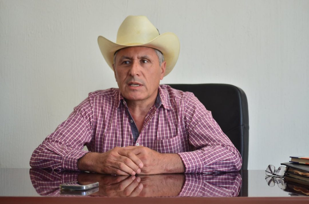 Presidente Municipal