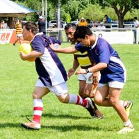 Inka XV: El equipo neuquino de rugby inclusivo disputará el Mundial de Irlanda