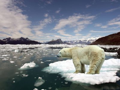 China y Estados Unidos: comprometidos para frenar el cambio climático