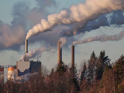 Proponen crear el Sistema de Compensación por Emisión de Gases de Efecto Invernadero