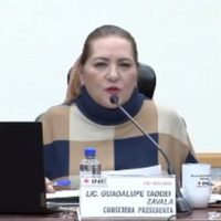 INE autoriza acuerdo para que Guadalupe Taddei realice nombramientos; denuncian irregularidades