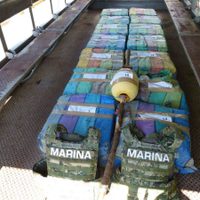 Decomisan 638 kilos de cocaína en la costa chiapaneca