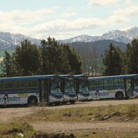 Domingo sin transporte público en San Martín de los Andes
