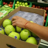 El Gobierno y Senasa acordaron controles más estrictos y rigurosos a la fruta de Río Negro