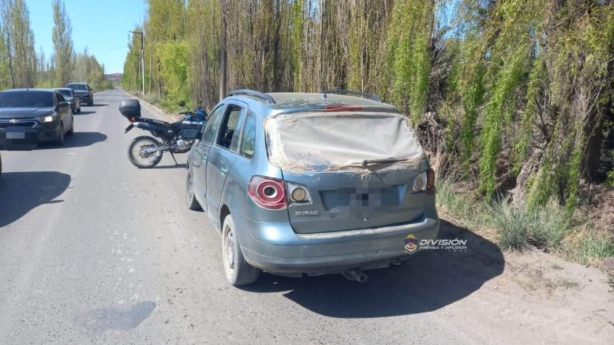 Delincuente robaron una bicicleta. Fuente: (Policía de Neuquén).