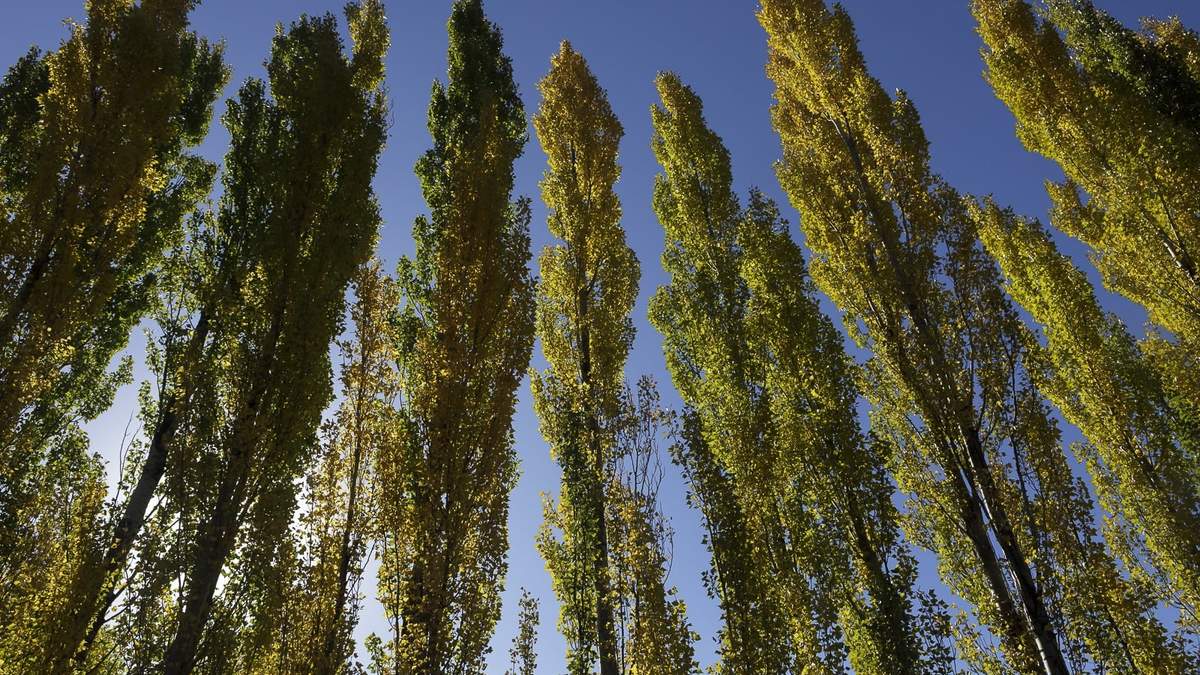 Se espera el inicio de una cálida semana de otoño. Fuente: (Emiliano Ortiz)