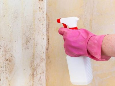 Espera, no pintes todavía: el trucazo para sacar las manchas de humedad de tus paredes