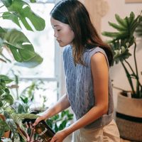 Así podés cuidar tus plantas si tenés un viaje urgente: 2 ingredientes que guardas en la cocina
