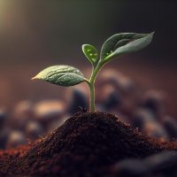Te sorprenderá: mirá cómo conseguir plantas nuevas usando solo 1 ingrediente que seguro tenés en casa