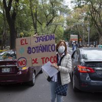 Cultura rechaza afectación del Jardín Botánico por construcción de Pabellón Artístico en Chapultepec