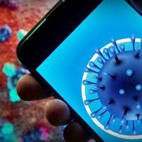 Vacunación: la innovadora app que se viene en Río Negro