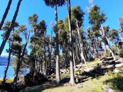 Juntan firmas para impedir la venta “ilegal” de la Reserva Natural Costera de Villa Traful
