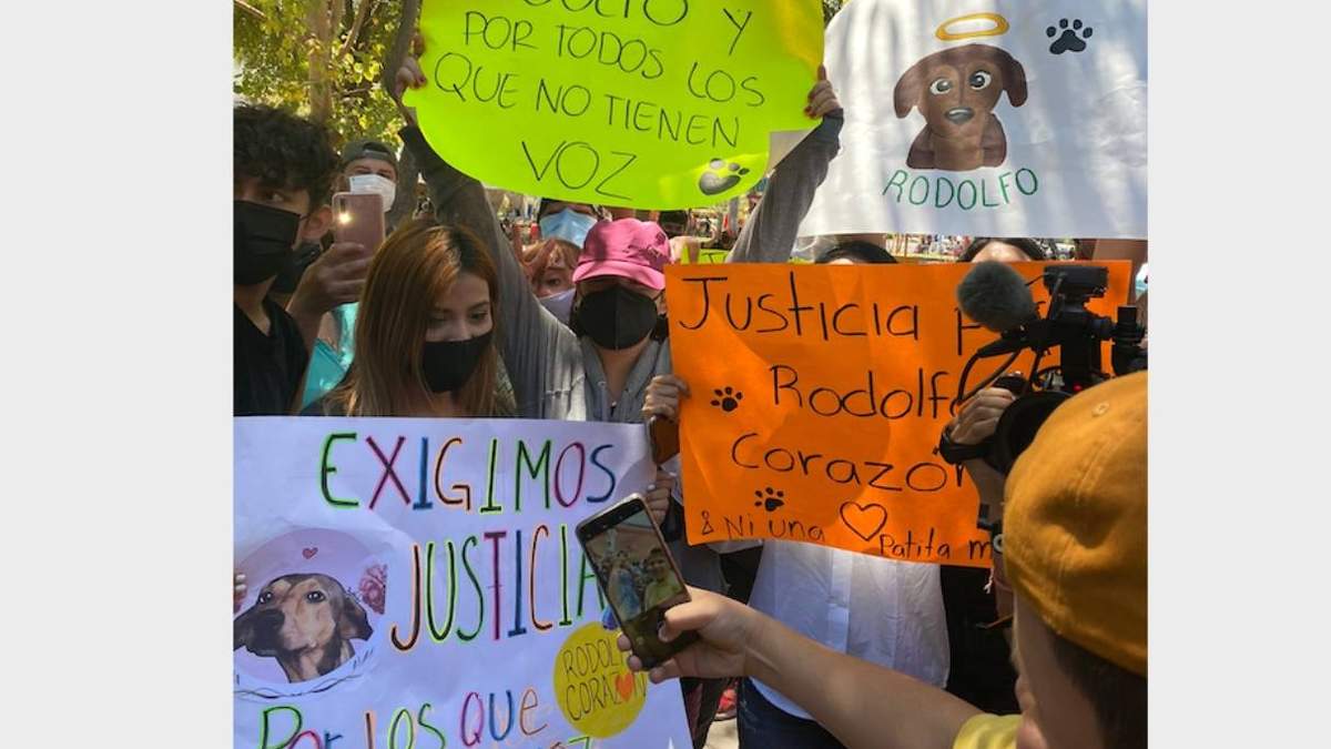 Una de las marchas para protestar por la muerte del perro