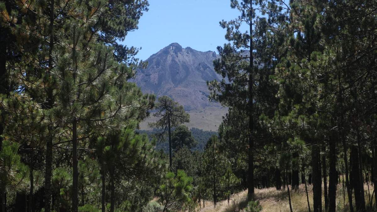 El Nevado de Toluca, área en riesgo
