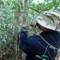 La Profepa sale en defensa de otro proyecto en Quintana Roo