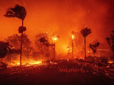 La devastación de los incendios forestales en California (Fotogalería)
