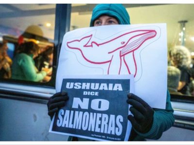 Tierra del Fuego: polémica por intento de modificar la Ley 1355 que prohíbe la salmonicultura industrial