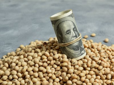 Dólar soja: todo lo que tenés que saber sobre la última medida del Gobierno