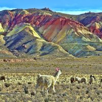 Prueba piloto para el Turismo: "Jujuy para jujeños" desde junio