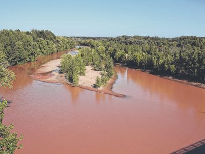 "Turbidez intensa": a cuántos neuquinos afecta la falta de agua potable