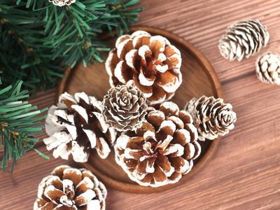 Llevá la deco de Navidad a otro nivel con esta idea súper fácil y económica que vas a amar