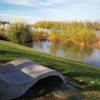 Clima en Neuquén: tiempo bueno en el cierre de la semana