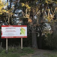 Villa La Angostura: aprobaron un loteo privado con parcelas más pequeñas que las permitidas por ley