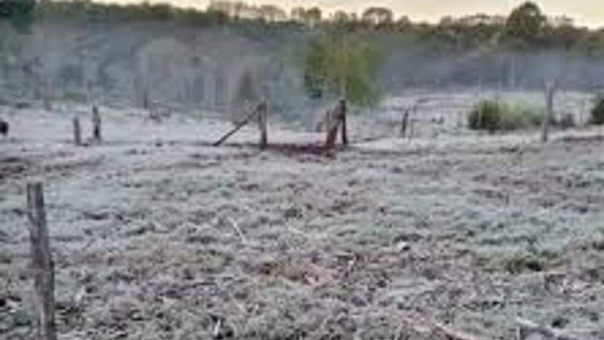 Una ola polar se aproxima desde este domingo. Fuente: (Foto archivo)