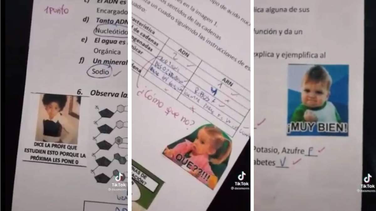 La maestra Daiana Amores se hizo viral por calificar a sus alumnos con menes