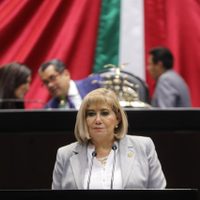 Diputada del PRI pide al gobierno federal implementar programa nacional de baches