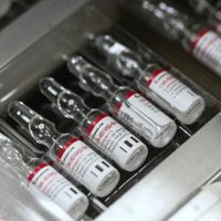 Carla Vizzotti confirmó cuándo estarán disponibles las segundas dosis de Sputnik V