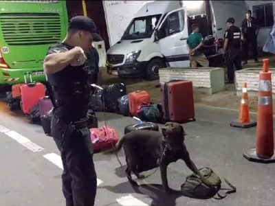 Detuvieron a un hombre que pretendía ingresar 7 kilos de droga a la provincia de Neuquén