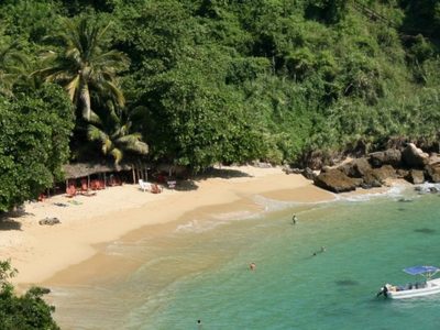 Turistas extranjeros que viajaron a Puerto Escondido dieron positivo a variante británica de covid