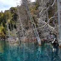 ¡Oficial!: ¿Hay o no  riesgo de tsunami en el Lago Traful? ¡Toda la data!