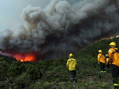 Incendios en Bariloche: intentan controlar dos focos activos en el Parque Nacional Nahuel Huapi