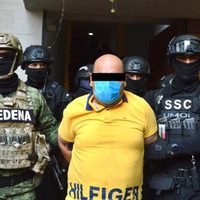 Decomisan 60 kg de cocaína en la colonia Narvarte