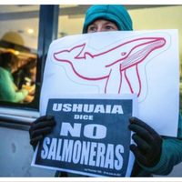 Tierra del Fuego: polémica por intento de modificar la Ley 1355 que prohíbe la salmonicultura industrial