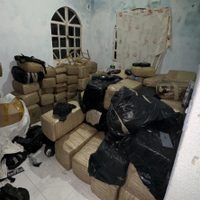 Decomisan una tonelada de mariguana en Tabasco; hay una detenida