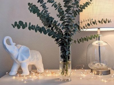Según el Feng Shui, el poderoso amuleto que tenés que tener en casa para atraer prosperidad y abundancia