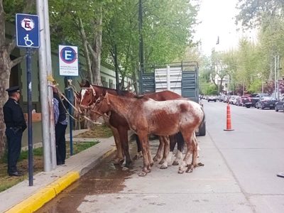 Contra un exministro “corrupto”: familia de crianceros protesta con sus caballos en Casa de Gobierno