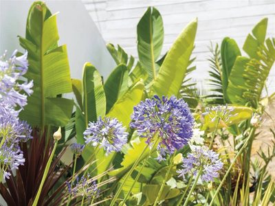 Septiembre en el jardín: las tareas claves para cuidar tus plantas y recibir la primavera