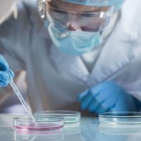 Una empresa española anunció el desarrollo de un potente medicamento contra el coronavirus