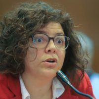 Carla Vizzotti reconoció que el tiempo de duplicación empieza a perder sentido