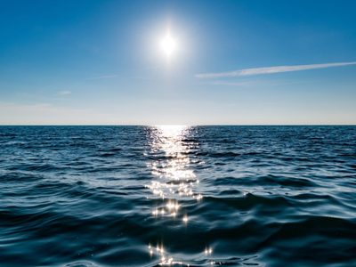 Las más insólitas curiosidades sobre los oceános y los mares