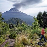 Morelos: Ciruelas de la discordia