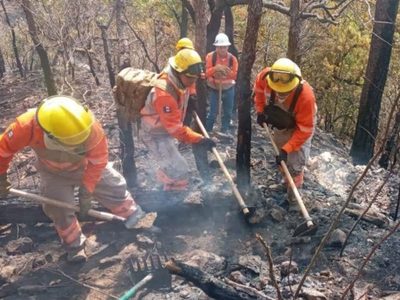 Hay en Chiapas 10 incendios activos, algunos en el Parque Nacional del Cañón del Sumidero