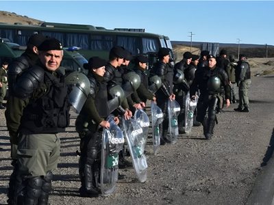 Gendarmería halló lagartos, droga y una suma millonaria de dinero en distintos procedimientos en Chubut