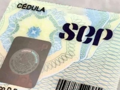 SEP habilita sitio de internet para tramitar cédulas profesionales: estos son los requisitos