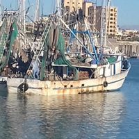 Profepa y Semar aseguran tres embarcaciones por pesca ilegal