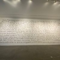 El MUAC retira obras de la artista Ana Gallardo tras controversia y pide disculpas